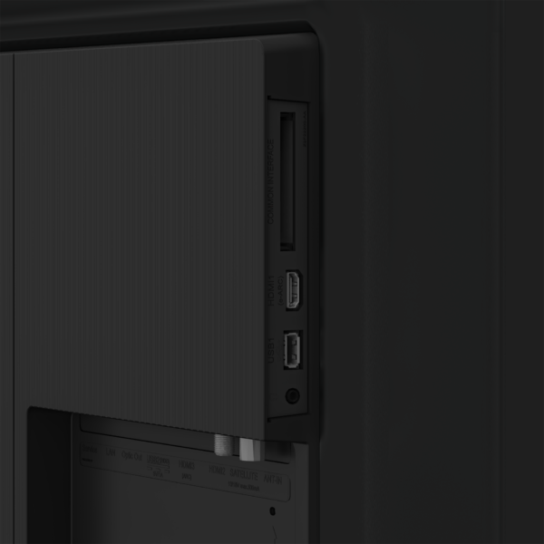 A65 E 795 B Google TV - Görsel 8